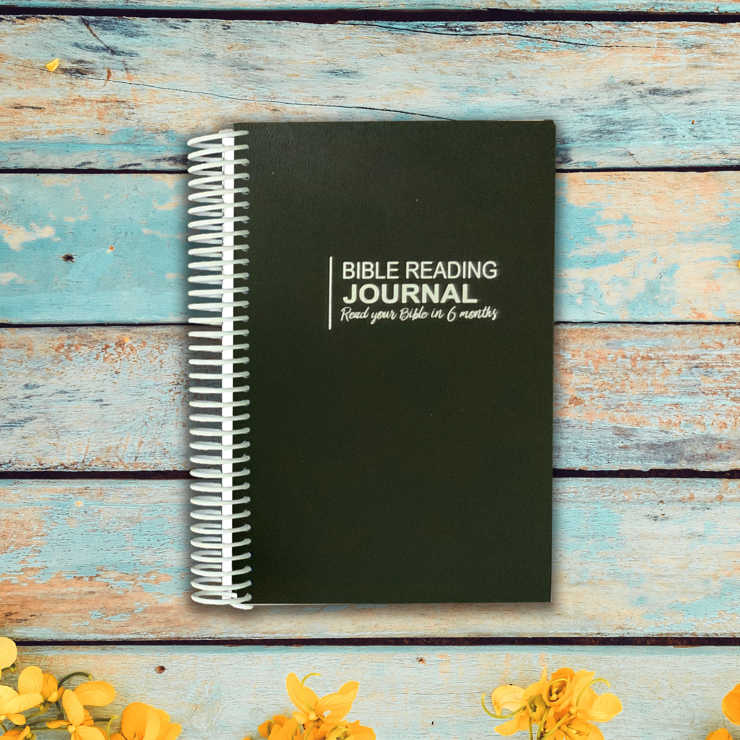 Bible Reading Journal - Six Month Plan