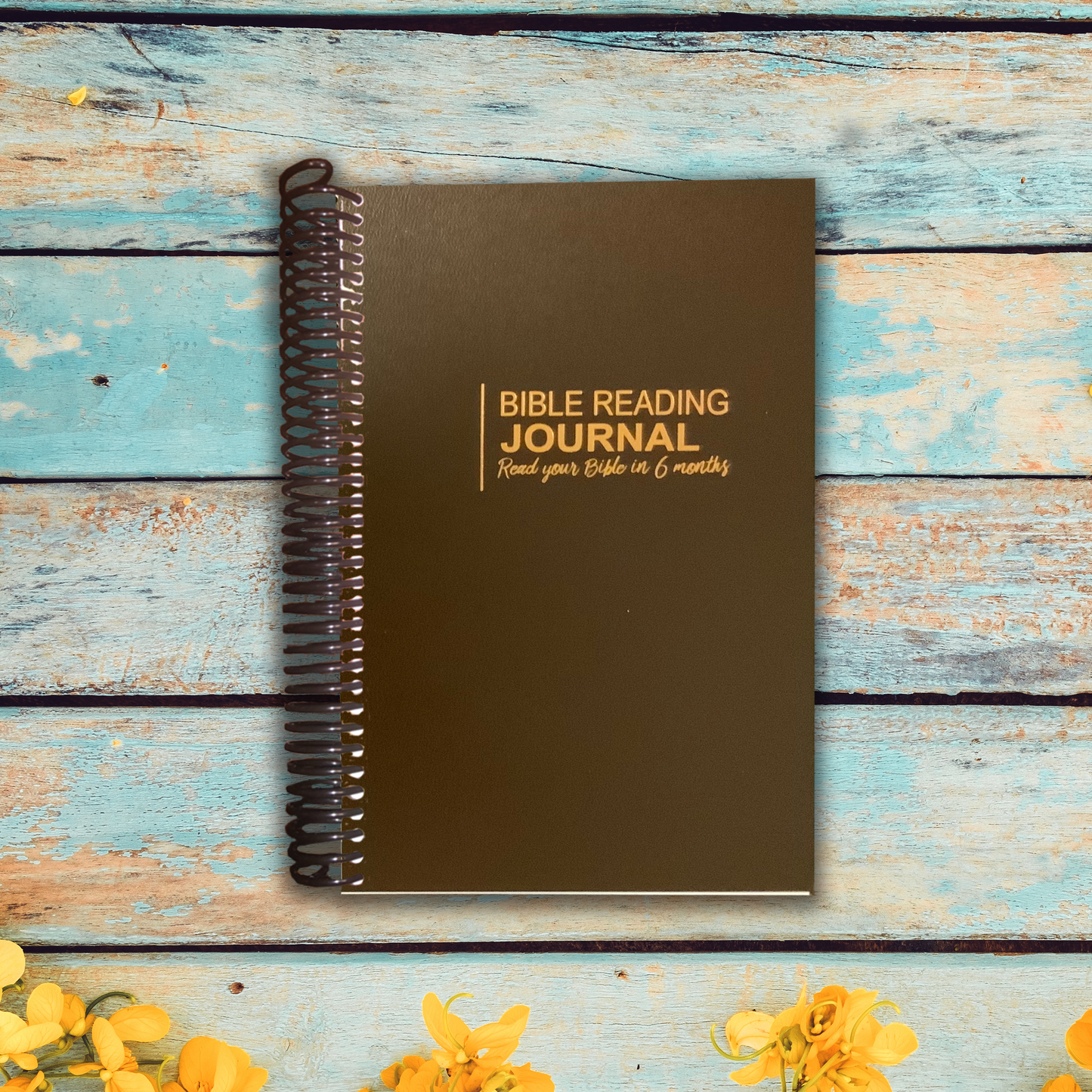 Bible Reading Journal - Six Month Plan