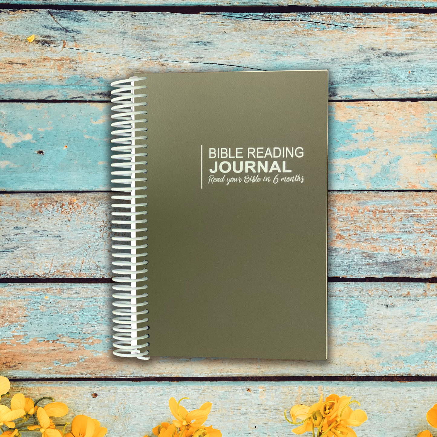 Bible Reading Journal - Six Month Plan