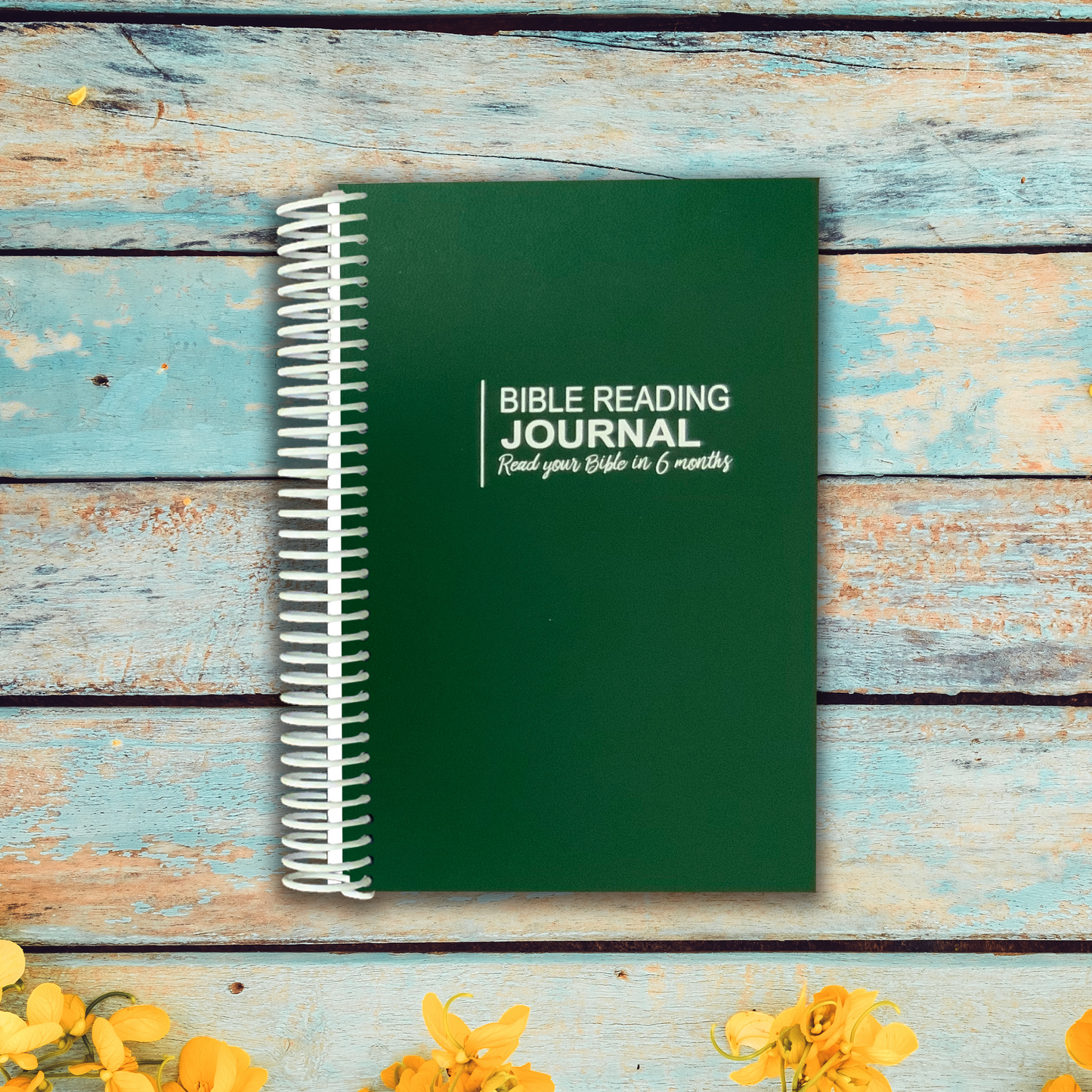 Bible Reading Journal - Six Month Plan