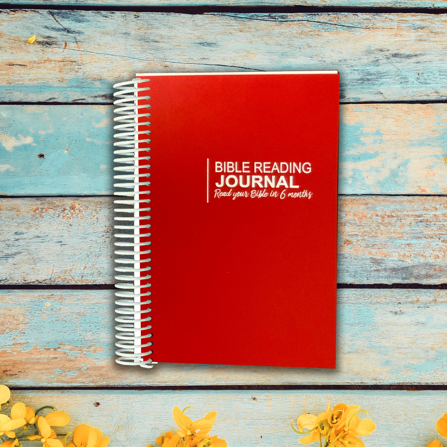 Bible Reading Journal - Six Month Plan