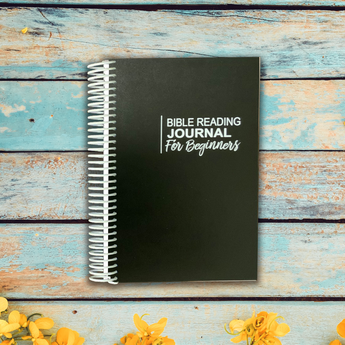 Bible Reading Journal - For Beginners