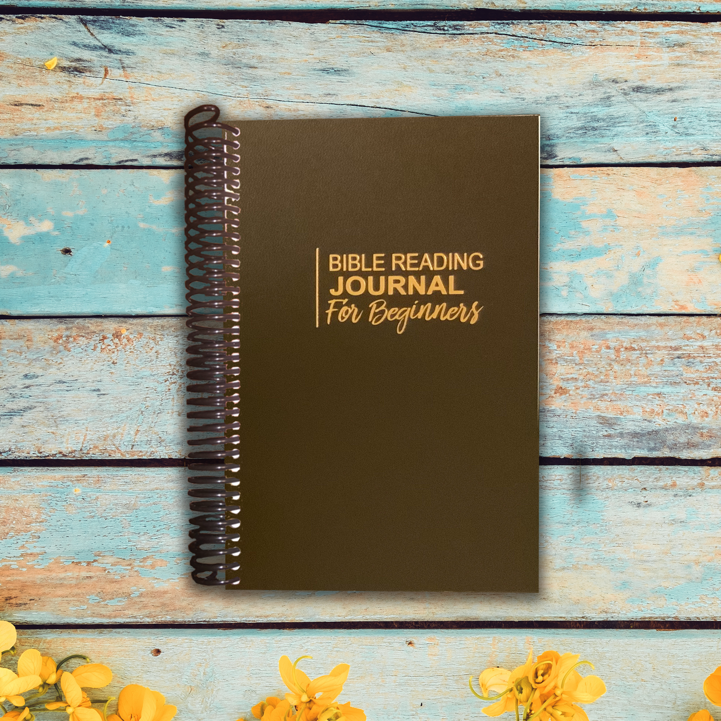 Bible Reading Journal - For Beginners