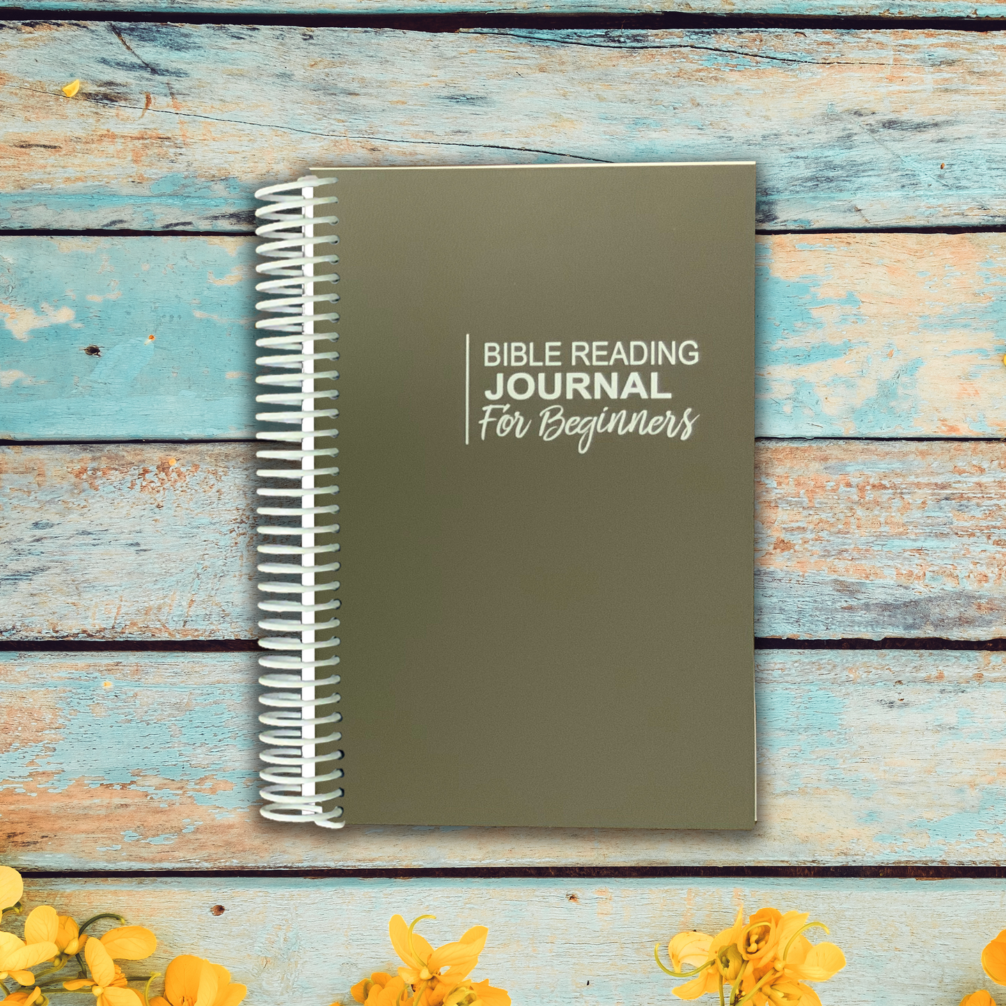 Bible Reading Journal - For Beginners