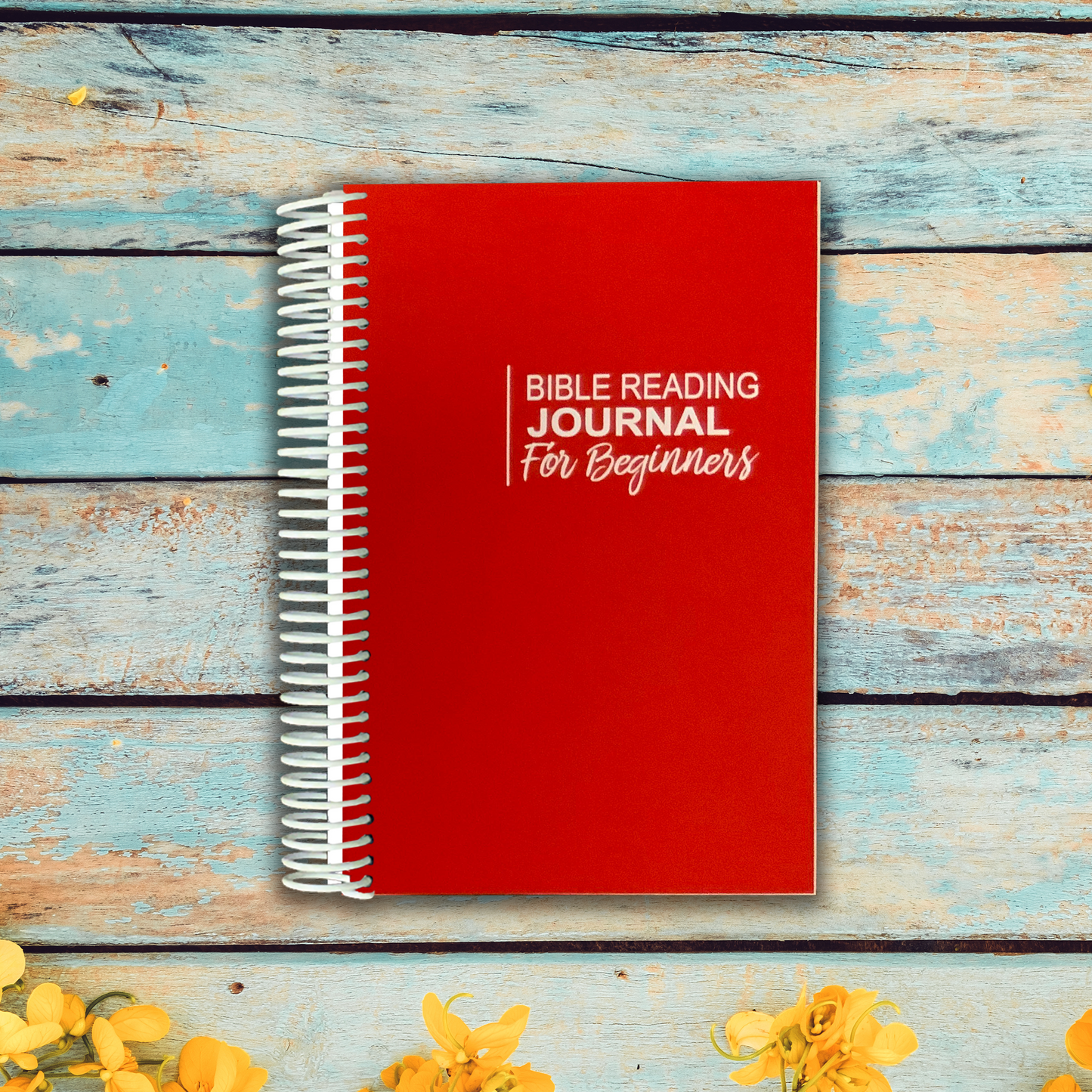 Bible Reading Journal - For Beginners