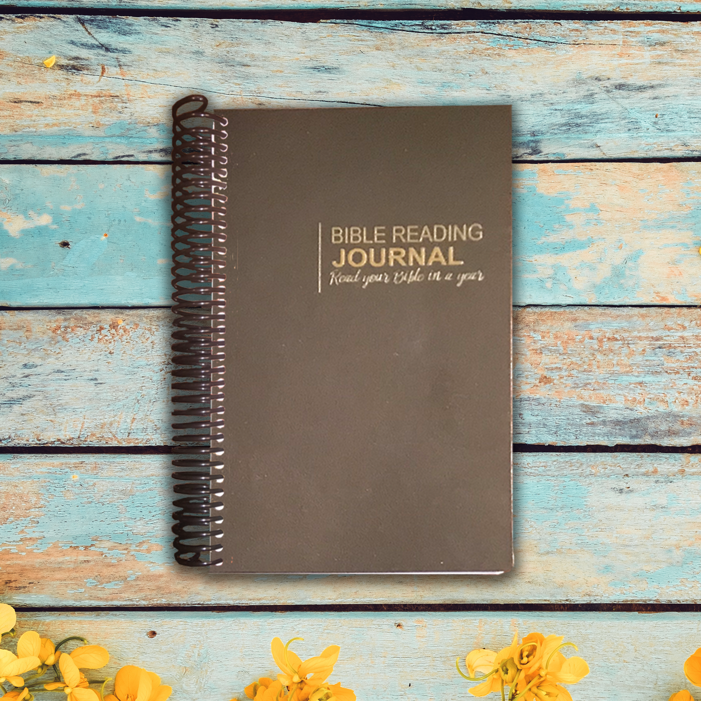 Bible Reading Journal - 1 Year Chronological